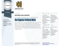 Haydar Can Coşkun Six Sigma Yellow Belt