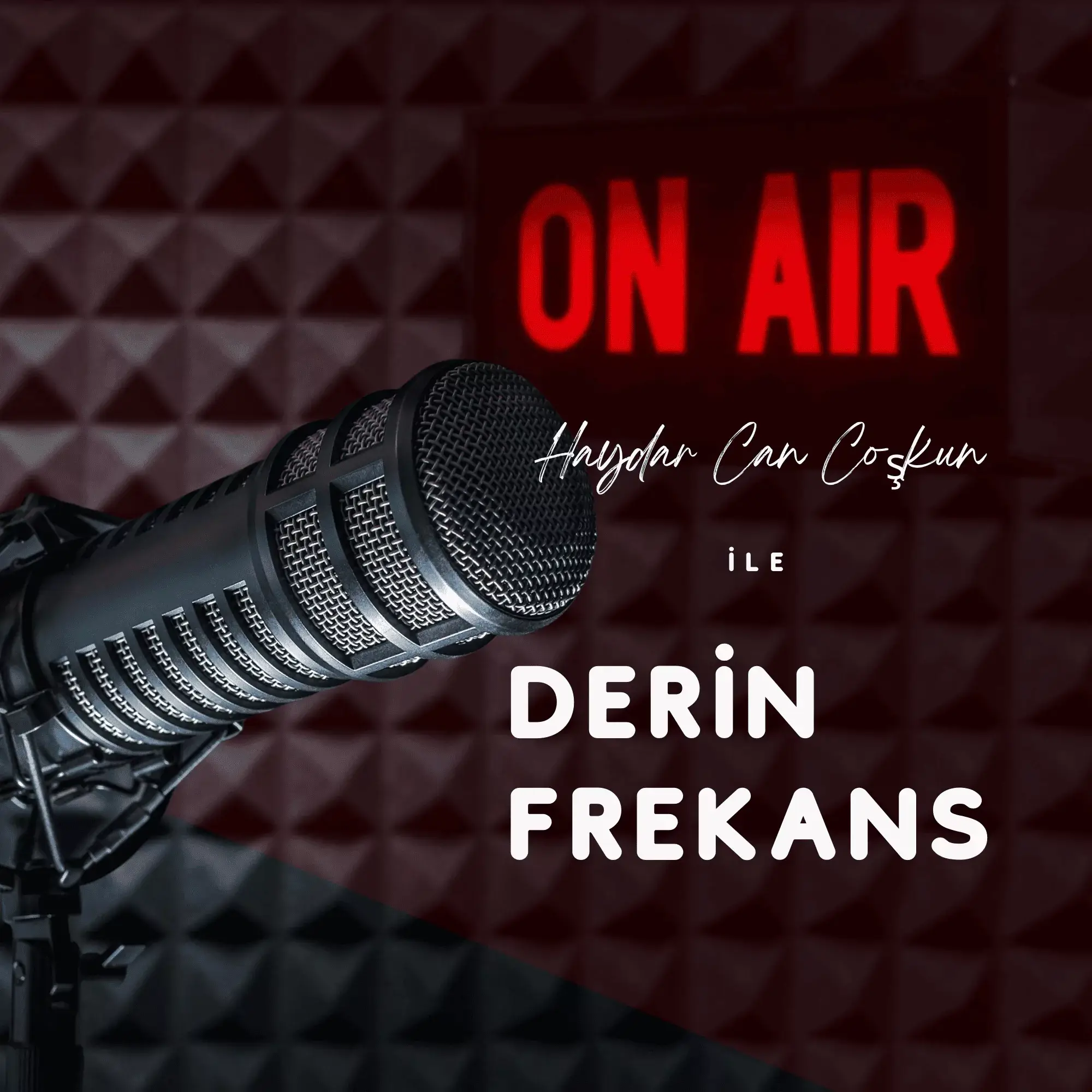 Derin frekans haydar can coskun logo Derin Frekans Haydar Can Coskun Logo